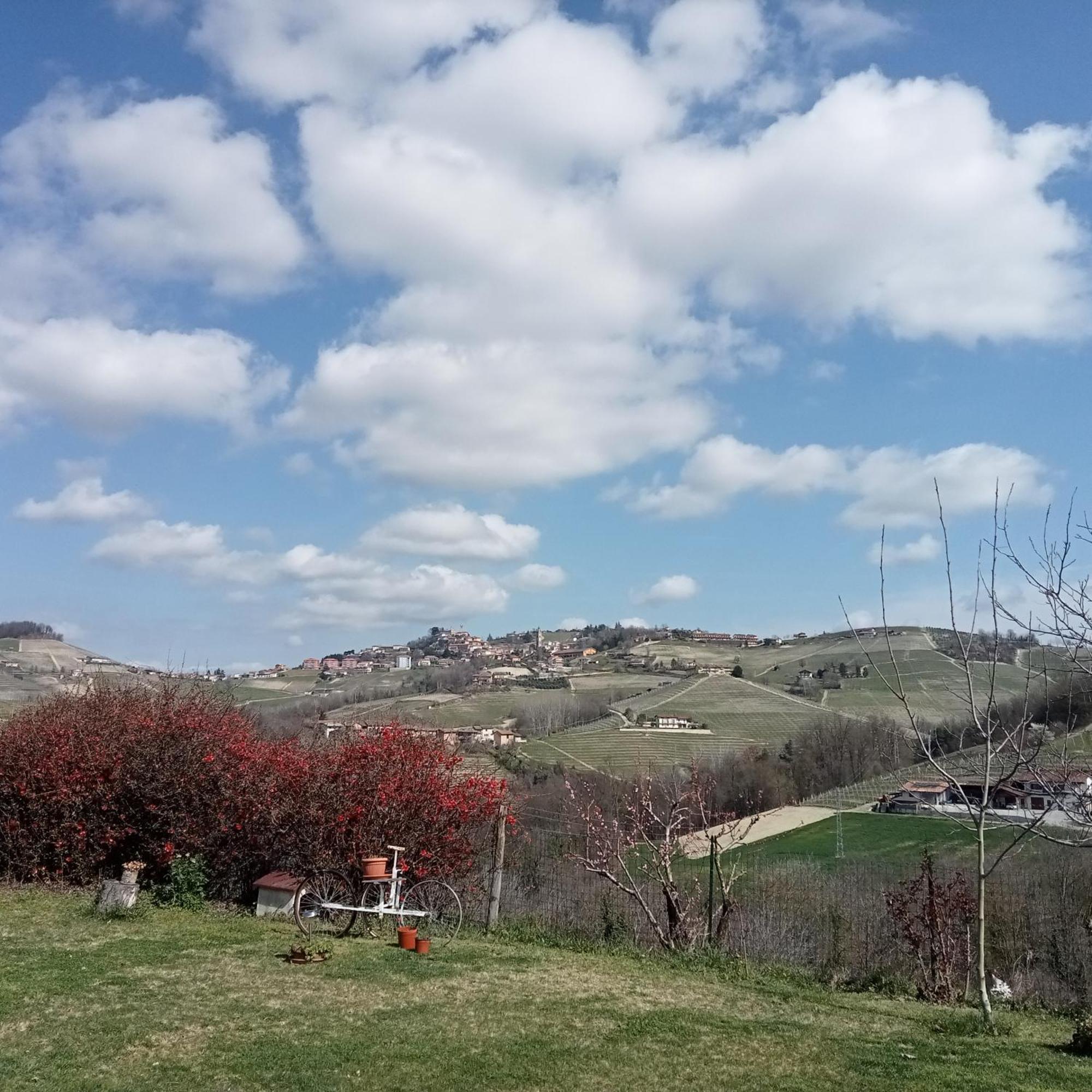 Agriturismo Bric Di Gai Monforte D'Alba Værelse billede