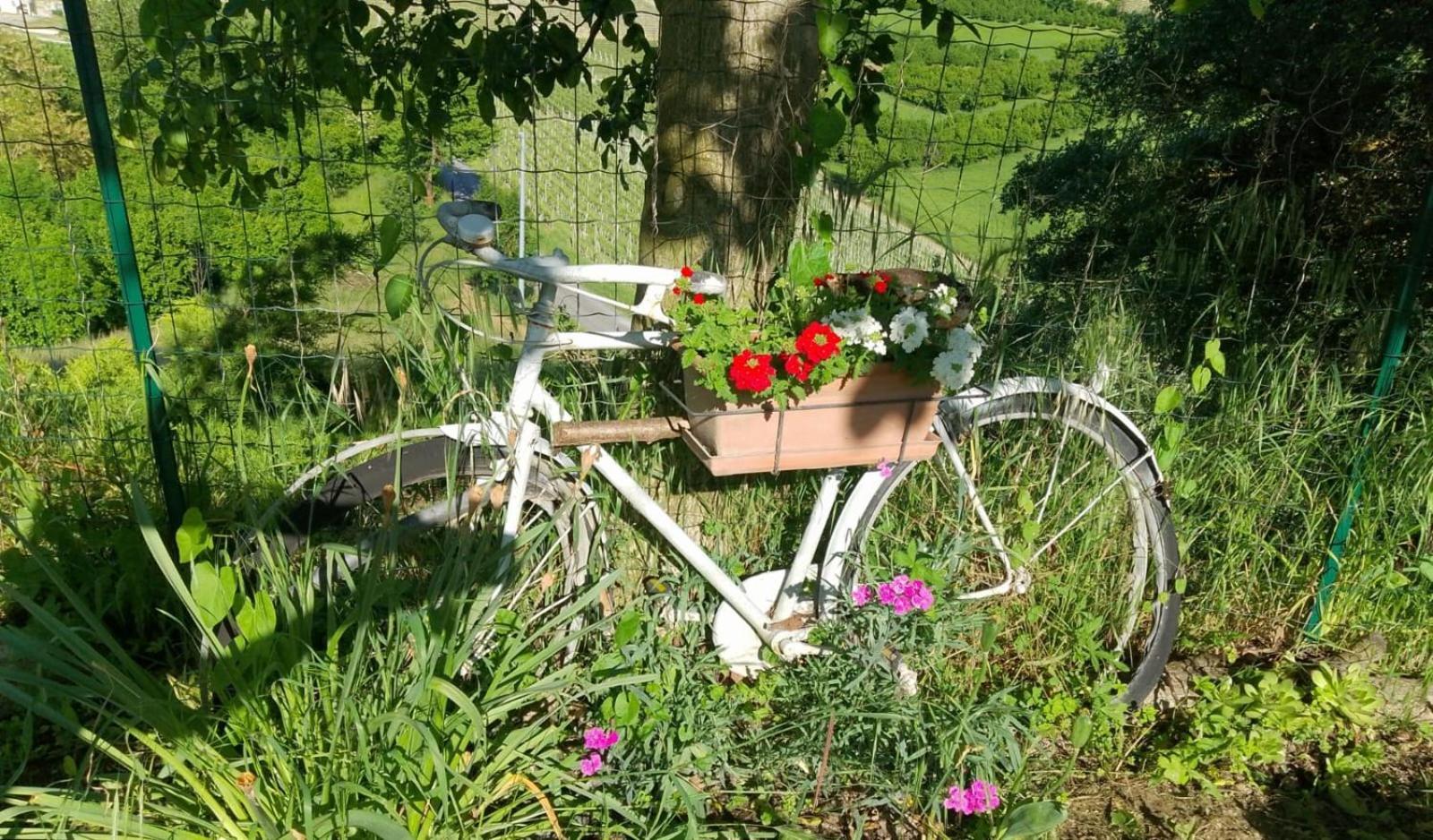 Agriturismo Bric Di Gai Monforte D'Alba Eksteriør billede